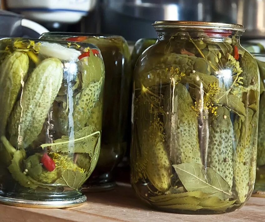 Банка маринованных огурцов. Огурцы маринованные. огурцы в банках. банки с огурцами. огурцы в банке на зиму.