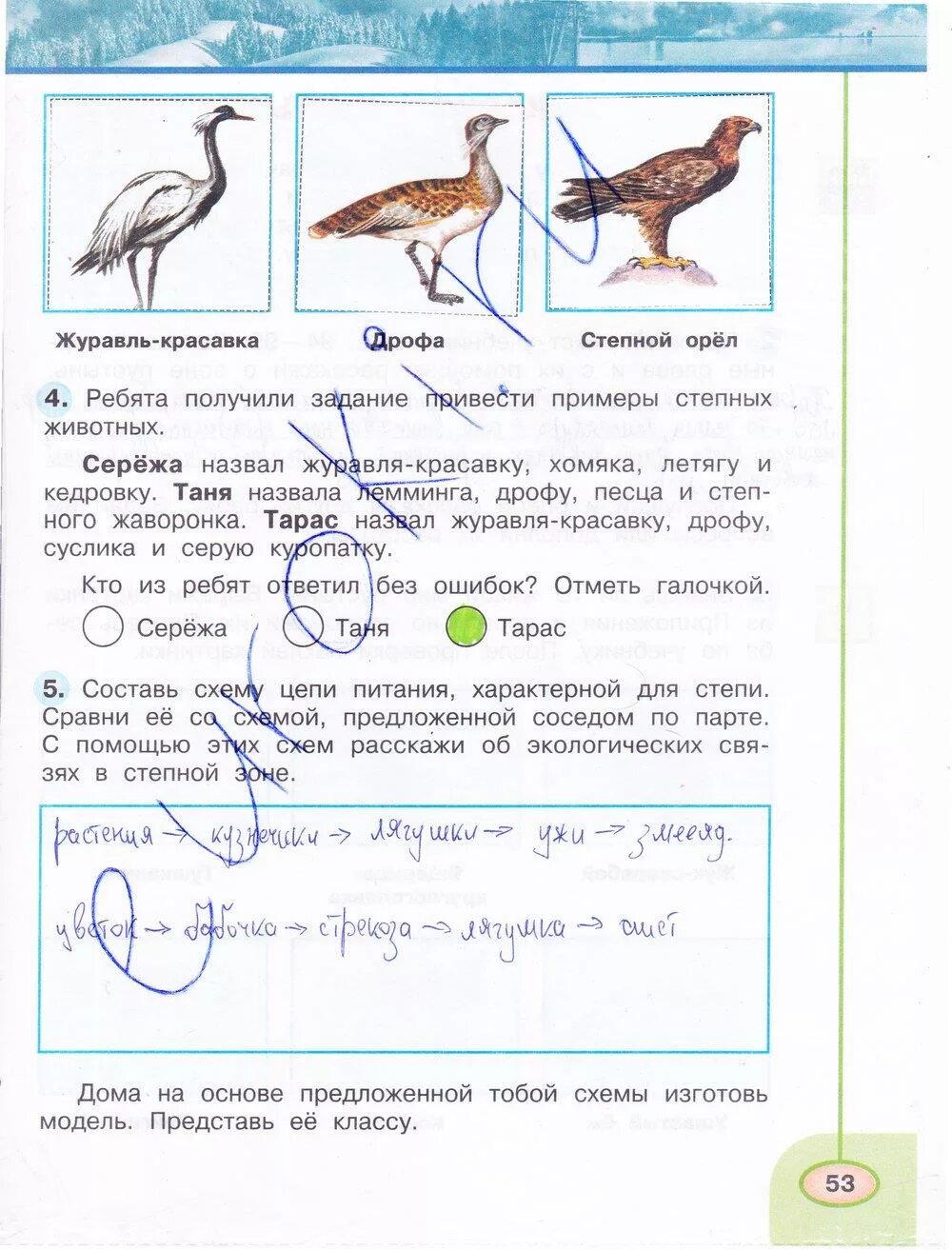 Гдз по окр мир тет