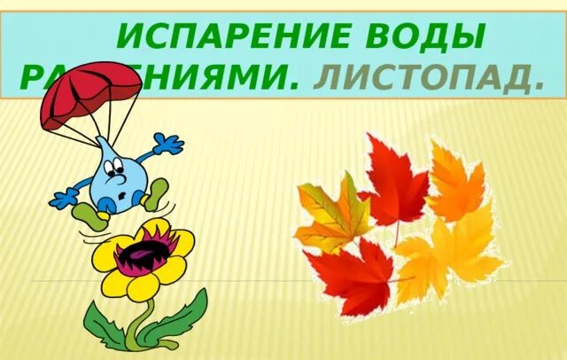 Испарение воды растениями листопад. Испарение воды растениями листопад 6. Испарение воды растениями листопад 6 класс презентация. Испарение воды растениями листопад 6 класс.