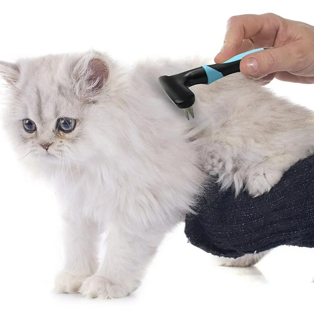 Что давать коту от шерсти