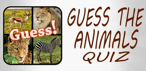 Какое ты животное quiz
