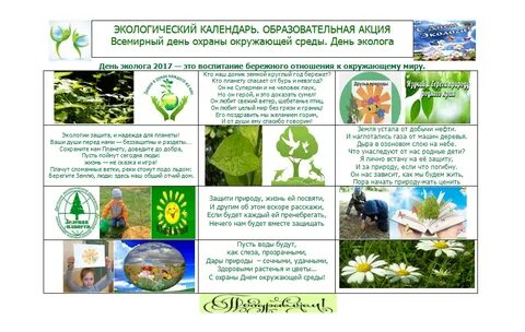 Проект экологический день