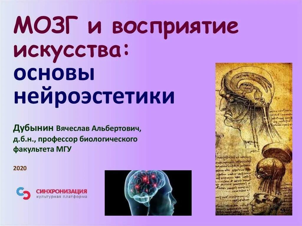 Как человек воспринимает искусство. Нейроэстетика. Восприятие мозга. Дубынин иммунитет. Презентация иммунитет Дубынин.