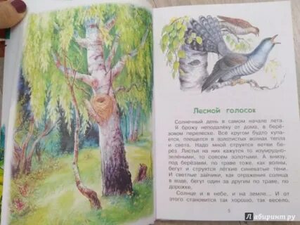 Г скребицкий лето