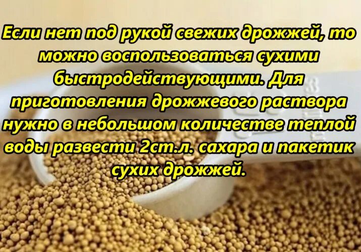 Подкормка клубники дрожжами. Сухие дрожжи для удобрения. Подкормка клубники дрожжами сухими. Подкормка из сухих дрожжей для клубники.