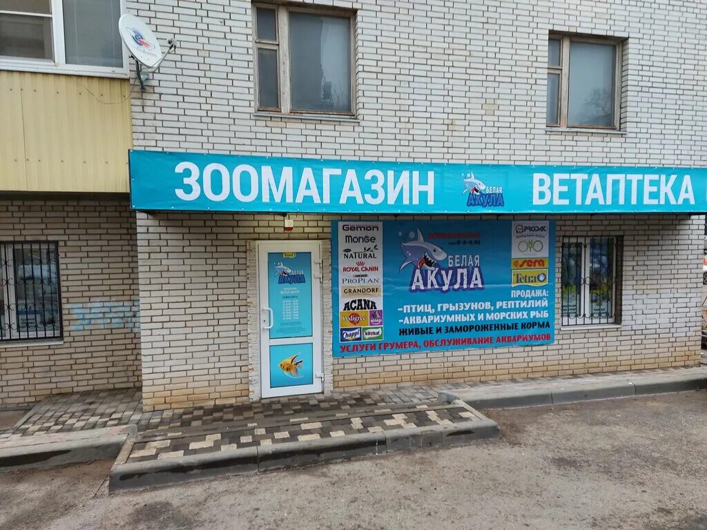 белая акула зоомагазин на ленина. магазин акула в ростове-на-дону зоомагазин. белая акула зоомагазин в ростове на ленина. зоомагазин акула ростов-на-дону. белая акула зоомагазин в ростове на дону на ленина.