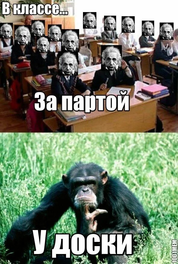 оригинальные идеи для школьных фотографий. оригинальные идеи для школьных фотографий. класс прикольно. преподаватель и ученики иллюстрация. необычный урок.