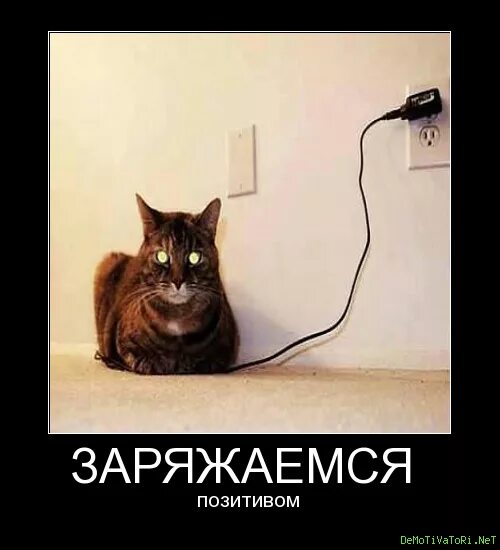 Но и зарядит его