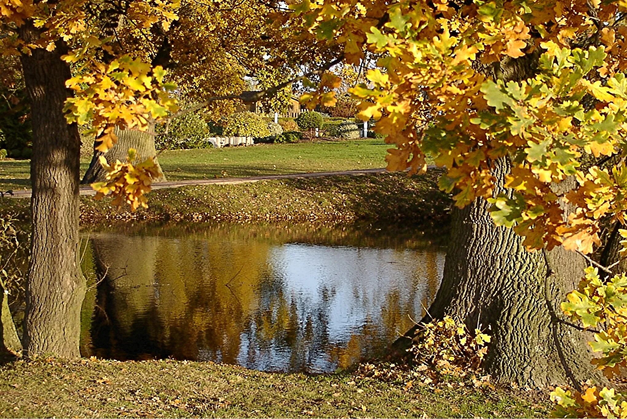 Осенняя пора. Осенняя пора скрип. Листопад осенью. Осенняя пора скрип. Осень листопад.
