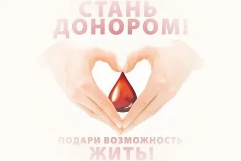 Шанс подарок