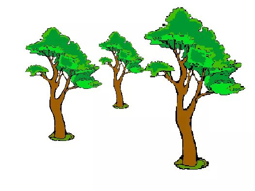 Дерево 5 класс информатика. Дерево для паинта. Природа из папки заготовки. Сосна в паинте. Дерево из информатики.