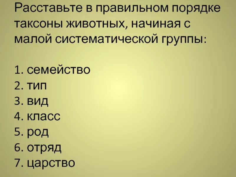 Герберы - описание, классификация, виды