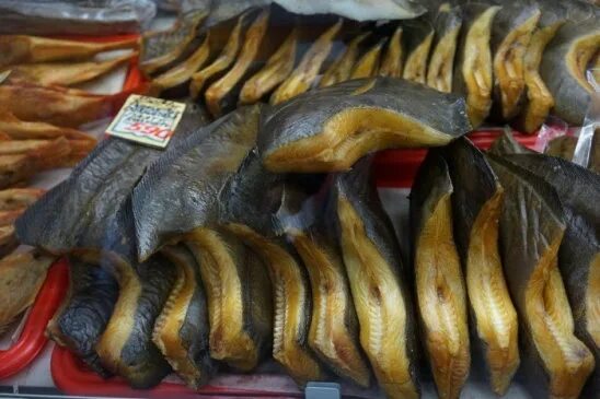 activefisher.net 2023 KOLA FISH - рыбалка на Кольском п-ве ВКонтакте