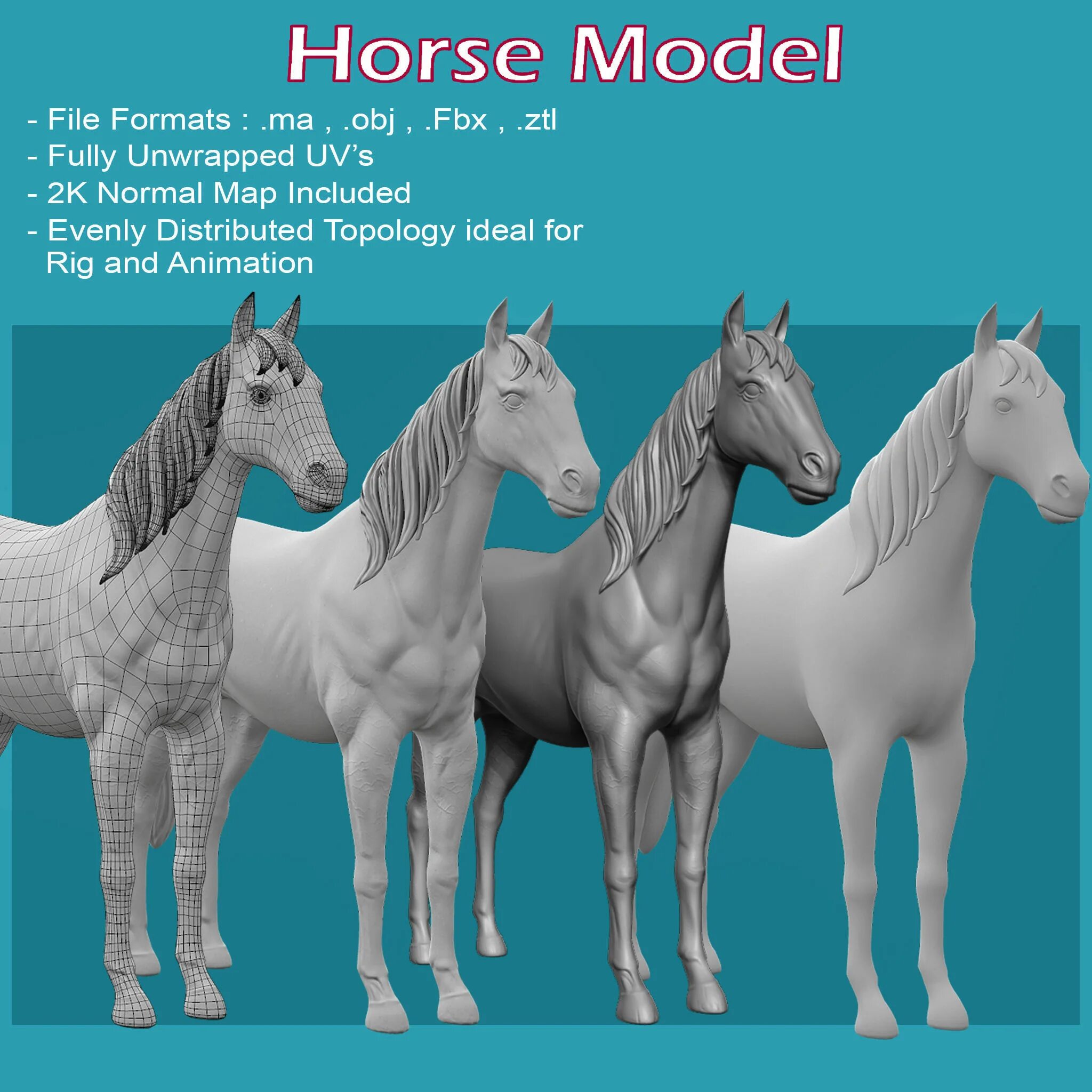 Horses model