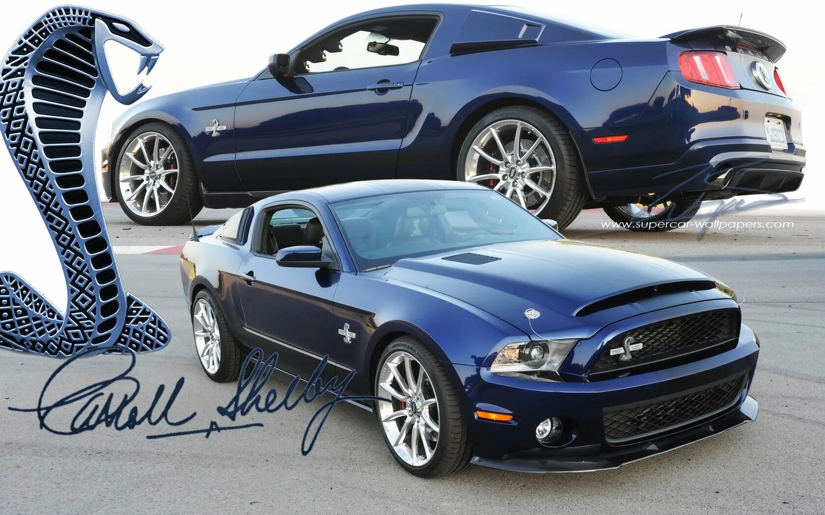 Cobra на русском. Ford Mustang Shelby Cobra gt500. Форд Мустанг Кобра 2015. Ford Mustang Shelby gt500 2015. Форд Шелби Кобра gt 500.