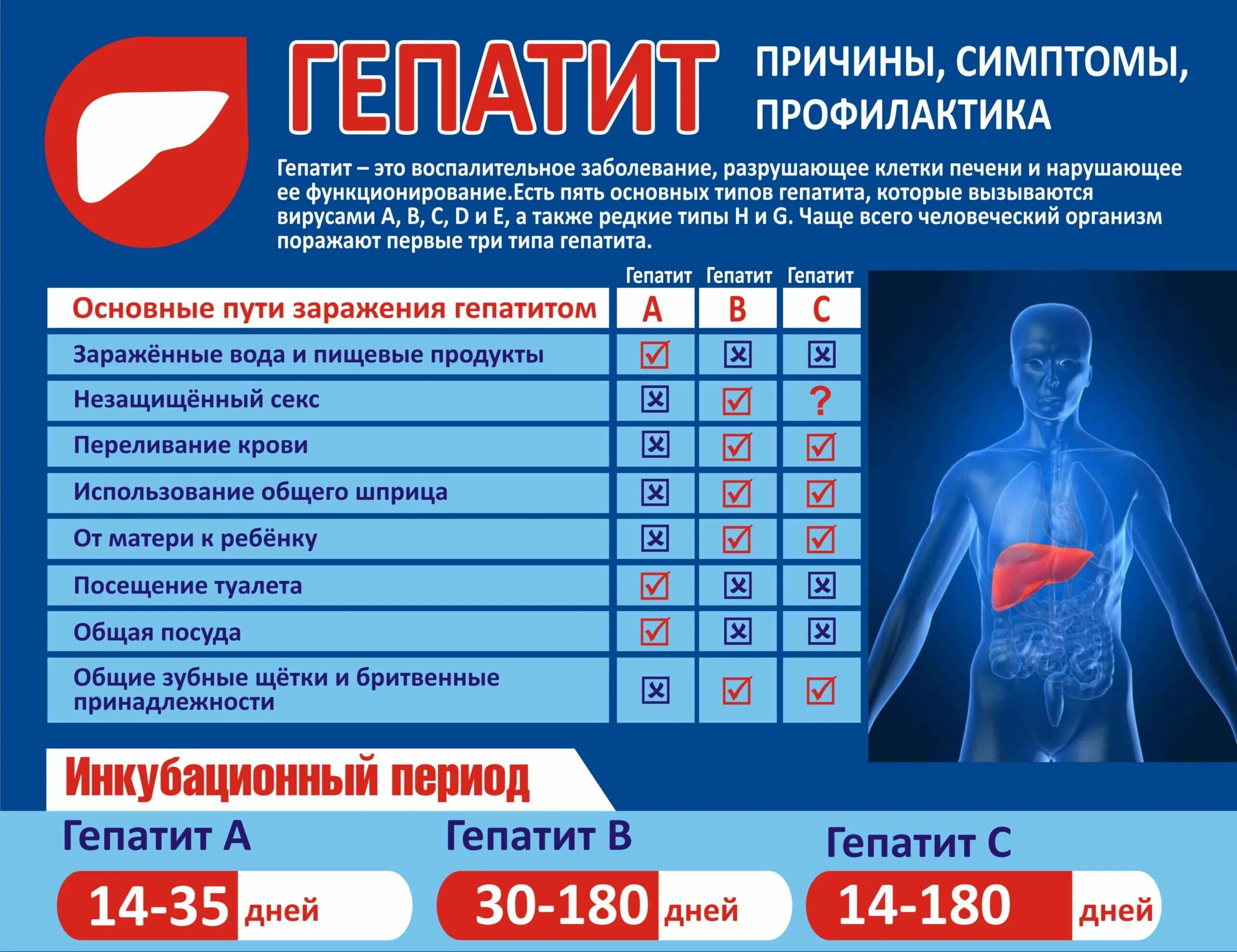 Неделя профилактики мероприятия. 28 Июля Всемирный день борьбы с гепатитом. Профилактика гепатита с. Плакат по гепатиту с. 28 Июля гепатит.