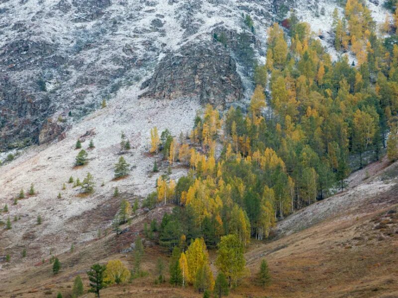 Село Сентелек Чарышский район. Чарышский район Алтайский край. Перевал Сентелек Алтай. Село Маяк Чарышский район. Погода в алтайском крае казанцева