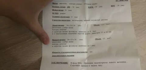 Узи малого таза калуга