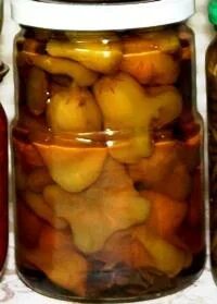 Маринованный острый перец колокольчик