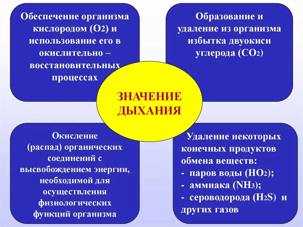 Обеспечение организма кислородом. Функции кислорода в организме. Система кислородного обеспечения организма. Функциональные системы обеспечивающие организм кислородом. Какова роль кислорода в процессе