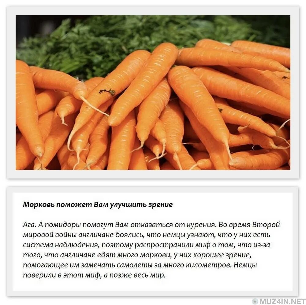Сколько потребуется морковок. Морковка улучшает зрение. Морковка полезна для зрения. Морковь для улучшения зрения. Морковь полезна для глаз.