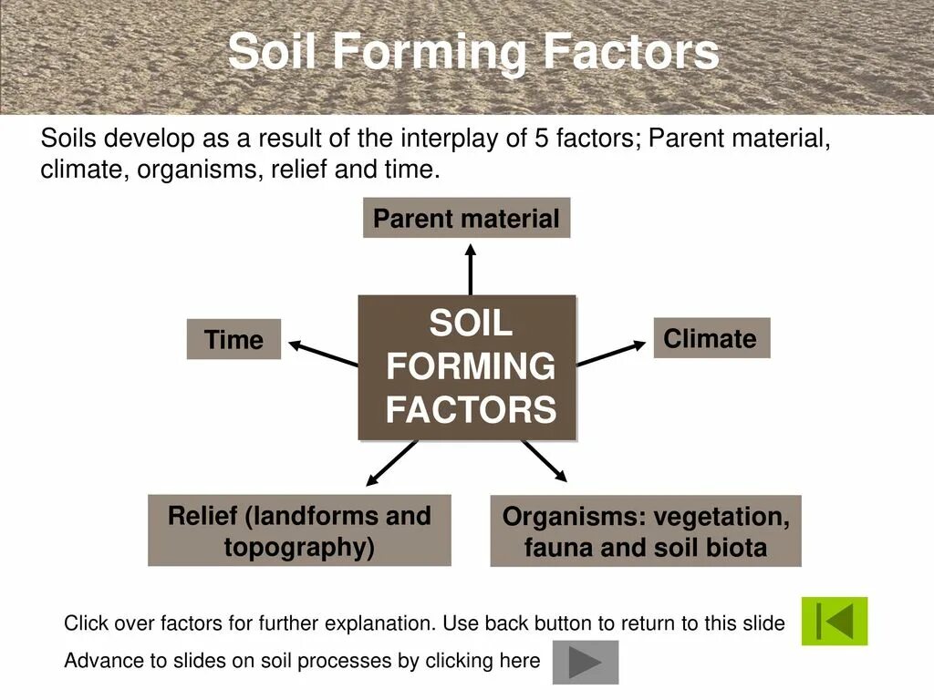 Soil processing. Soil factors. soil formation. soil formation processes. factors and terms.