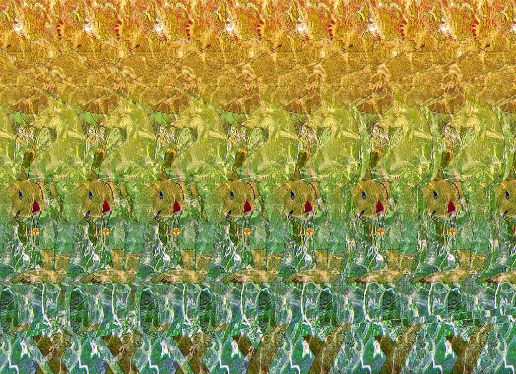 Использование 3 глаза. Стереограмма эйнштейн. Стереограммы хидден 3д. Использование 3 глаза. Стереограмма будда.