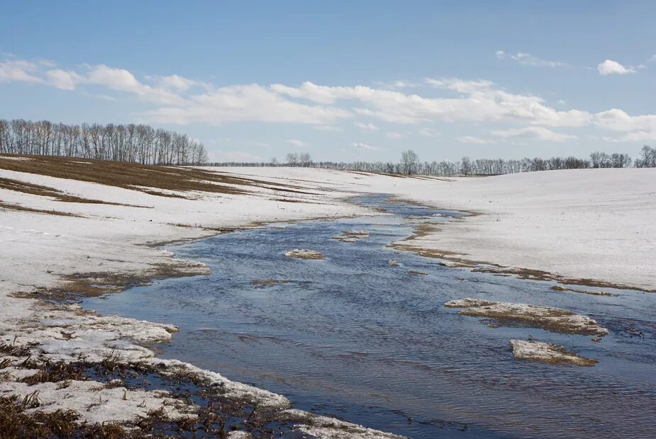 картина весенние воды. речка пала. эстония водоемы и реки. пярну река. вильяндимаа эстония.