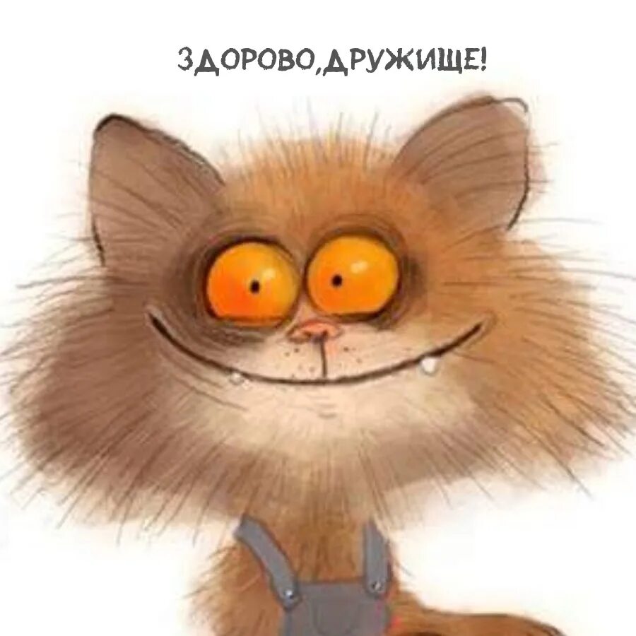 Привет картинки смешные. Привет дружище. Привет дружище. Дядя спасаев. Эй привет дружище го.