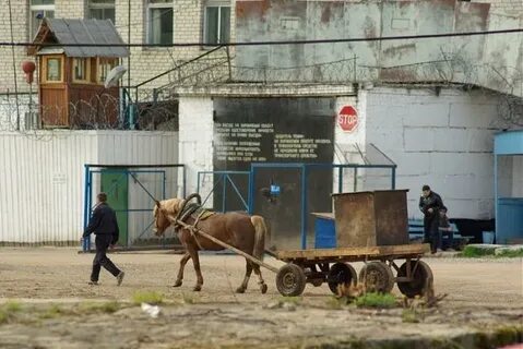 Ик березники