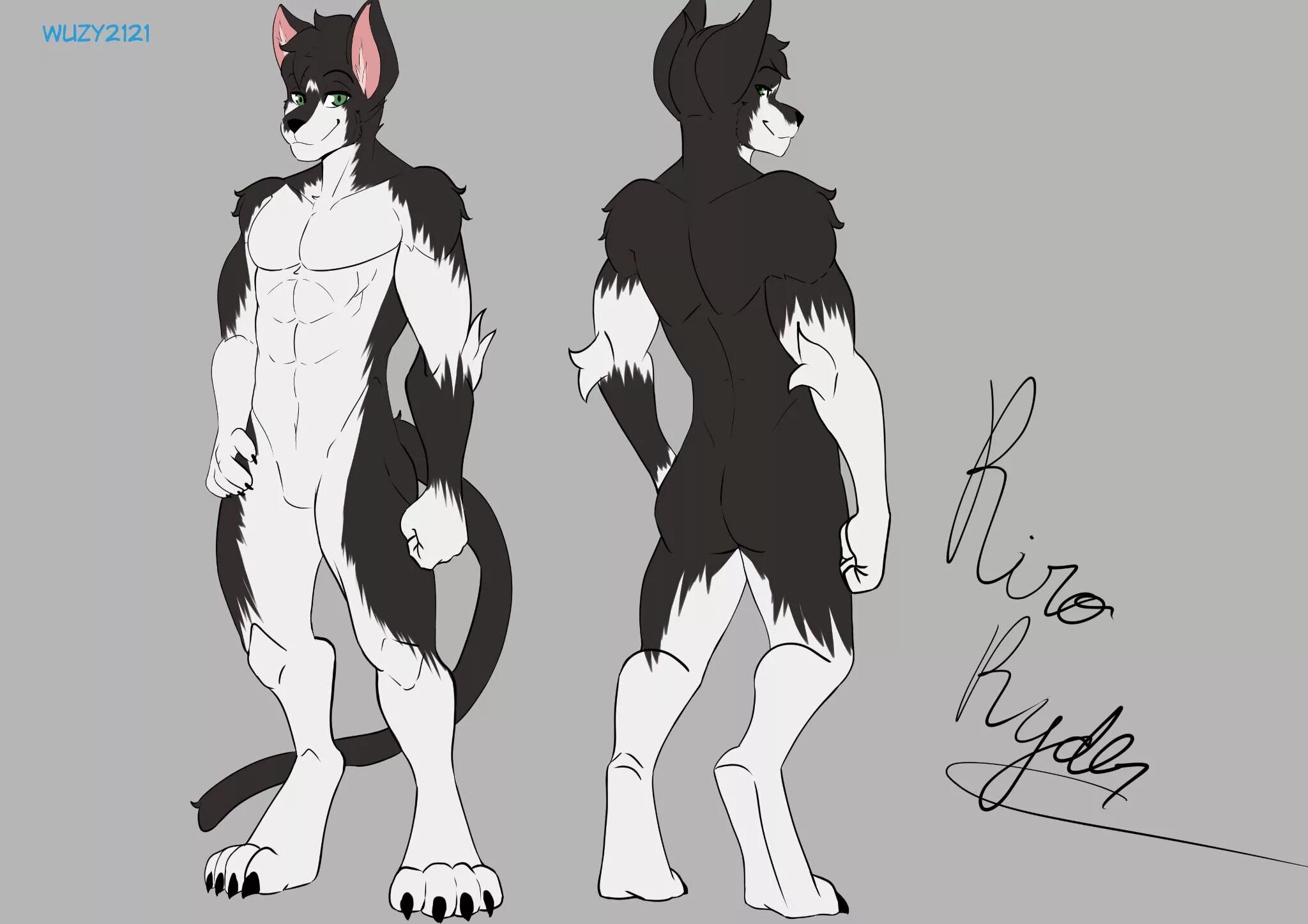 Фурсона ферал. Референс фурсоны волк. Фурия референс. Антро волк анатомия. Фурия референс.