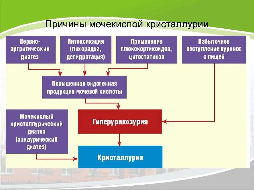 Что такое солевой диатез. Симптомы мочекислого диатеза. Мочекислый диатез у женщин. Мочекислый диатез симптомы.