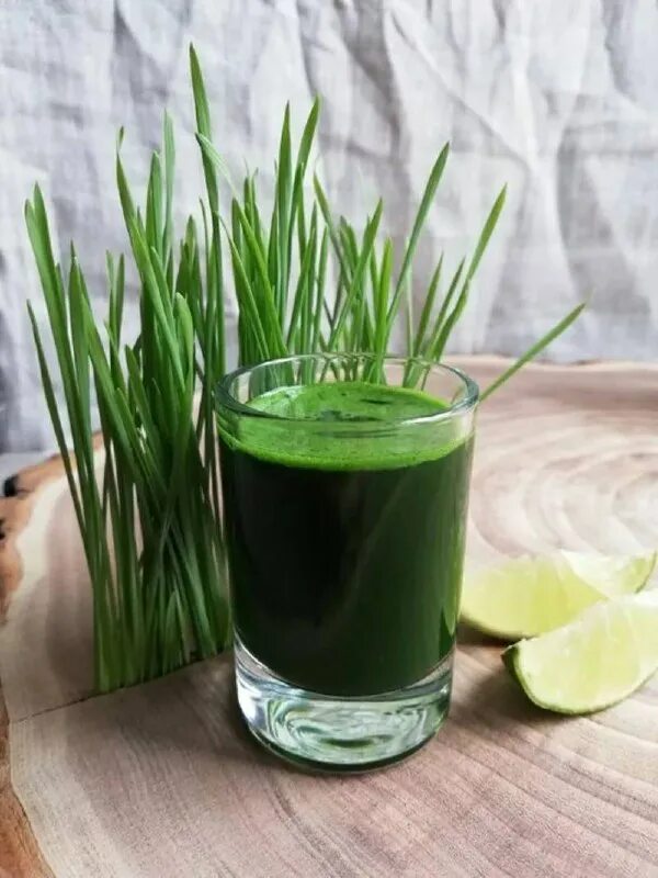 пророщенная пшеница витграсс. ростки пшеницы витграсс. витграсс хлорофилл. витграсс из пророщенной пшеницы. витграсс ,fl.