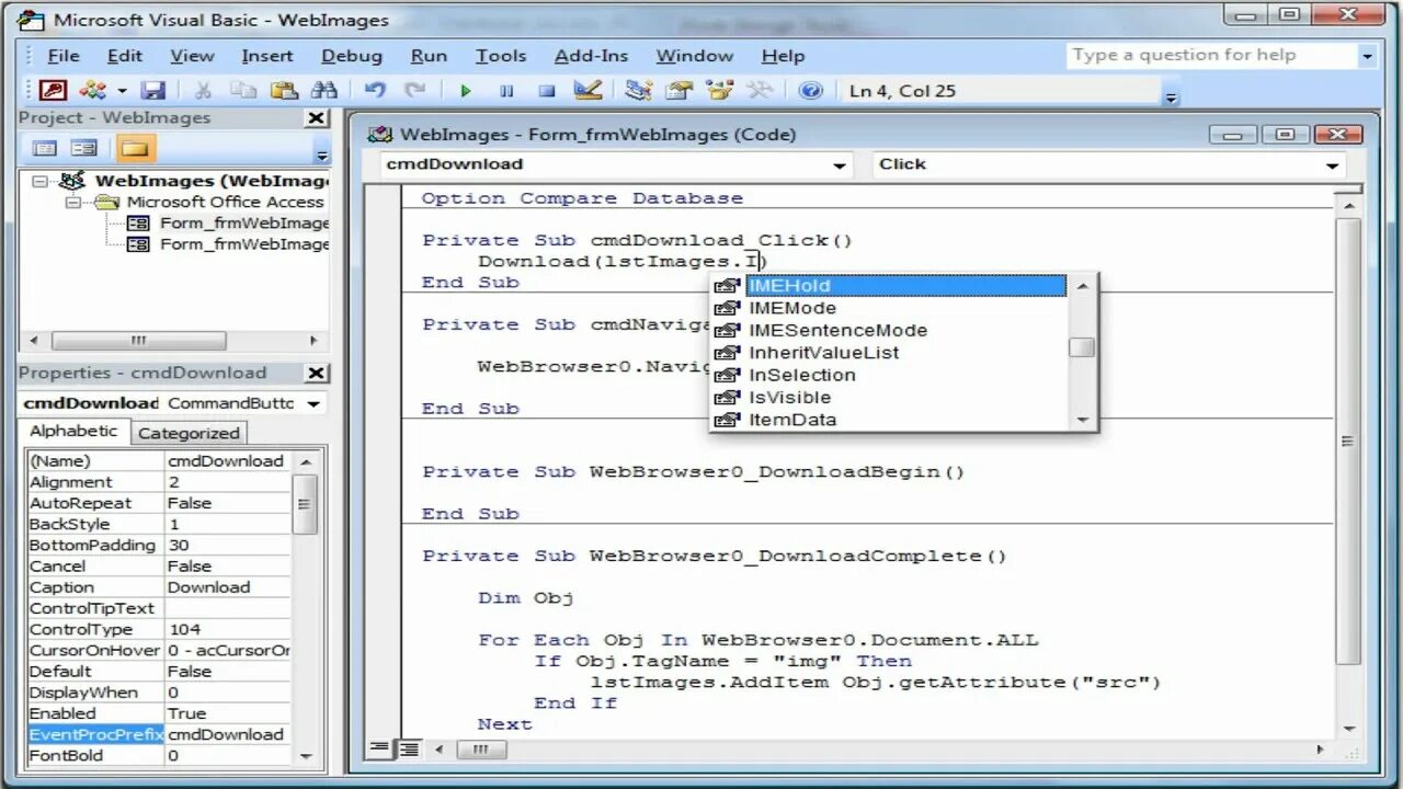 MICROSOFT VISUAL BASIC photos