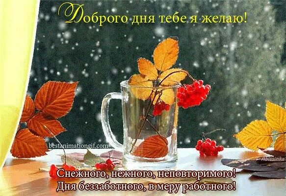 Хорошего ноябрьского денечка и отличного настроения. Пожелания с добрым ноябрьским утром. хорошего нлчбрьсуого дня и отличного настроения. прекрасного ноябрьского дня и отличного настроения. доброго ноябрьского утра и хорошего настроения.
