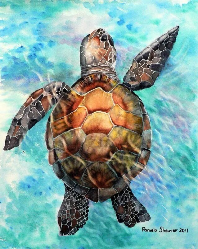 Черепаха 3.3 5. Морская черепаха. черепашка акварель. черепаха акварелью. морская черепаха акварелью.