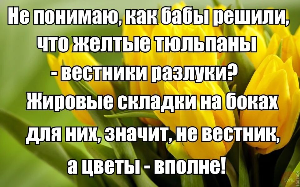 Почему желтые тюльпаны вестники разлуки. Жёлтые тюльпаны вестники разлуки картинки. Желтые тюльпаны вестники. Жёлтые тюльпаны вестники разлуки Мем. Желтые тюльпаны к расставанию.