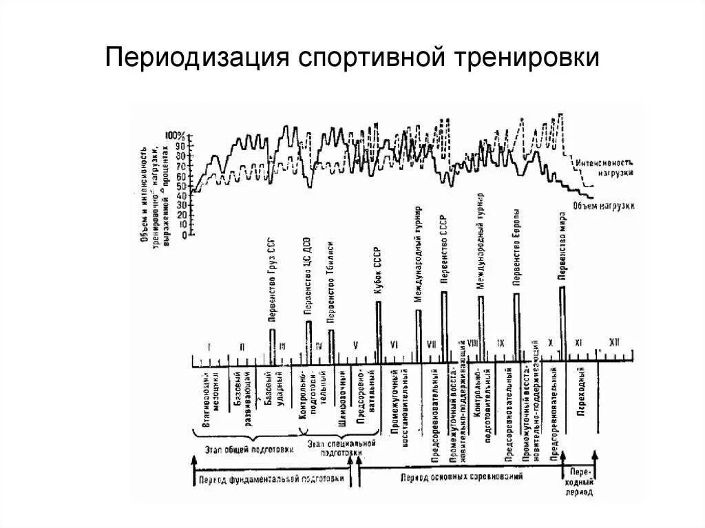 Циклирование нагрузок в бодибилдинге схема. Периодизация тренировок в бодибилдинге схема. Периодизация тренировочного процесса схема. Периодизация тренировок циклы.