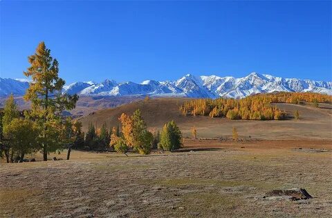 Visit altai