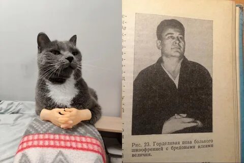 Бредовые идеи величия