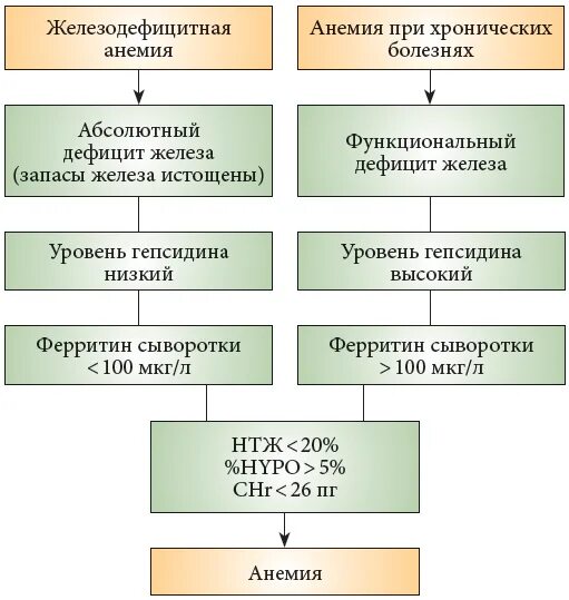 Нехватка ферритина симптомы у женщин. Низкий ферритин. Низкий ферритин симптомы. Признаки низкого ферритина. Низкий ферритин у женщин.