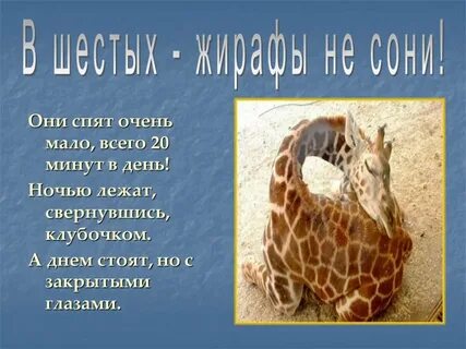 То змейкой свернувшись клубком у самого сердца
