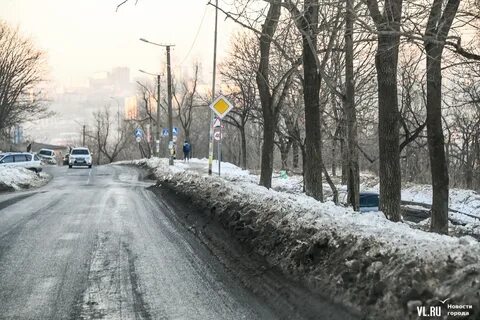 Погода во владивостоке на 2024 год