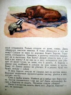Отрывок скребицкого