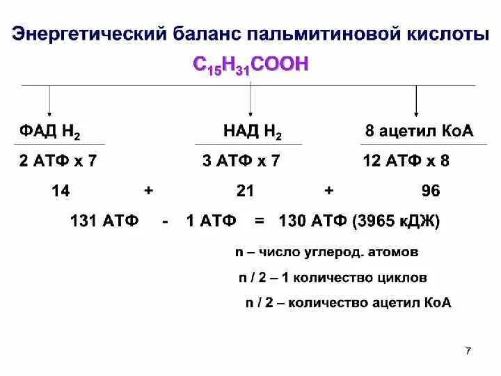 2 моль атф. Энергетический выход окисления пальмитиновой кислоты. Энергетический эффект окисления пальмитиновой кислоты. Энергетический выход при окислении жирных кислот. Энергетический выход при окислении пальмитиновой кислоты.