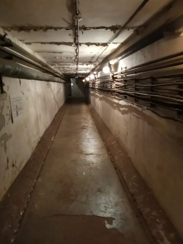 я создал бункер в замороженном мире 155