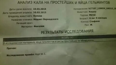 До скольки часов можно сдать мочу