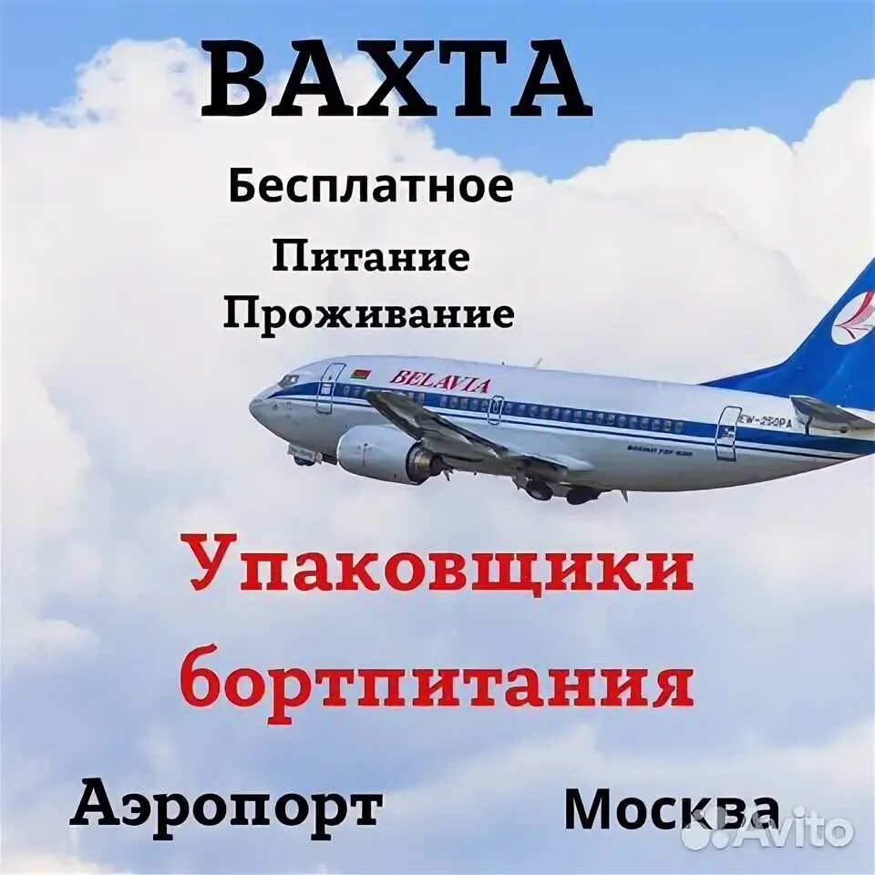 Наземные службы аэропорта. Работа вахтой аэропорт отзывы. Работа вахтой аэропорт отзывы. Упаковщик бортового питания шереметьево. Вахта в москве.