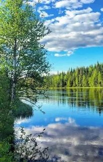 Мотив озеро