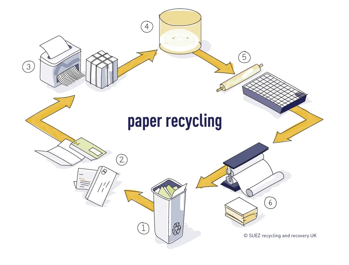 Способы использования бумаги. Переработка бумаги. paper recycling process. вторичная переработка бумаги схема. схема переработки бумаги.